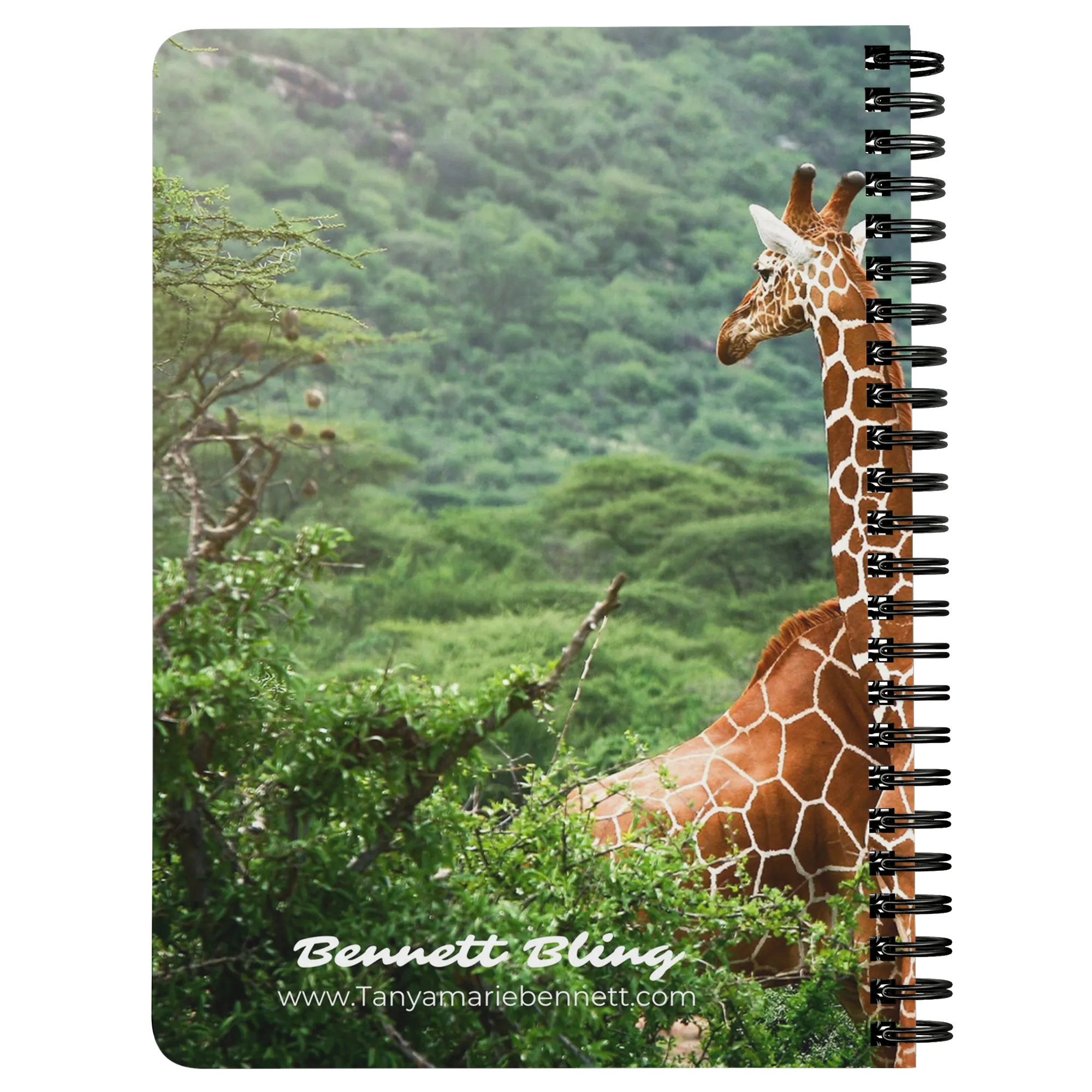 Adventure Awaits | Travel the World | Travel Journal | Travel Notebook