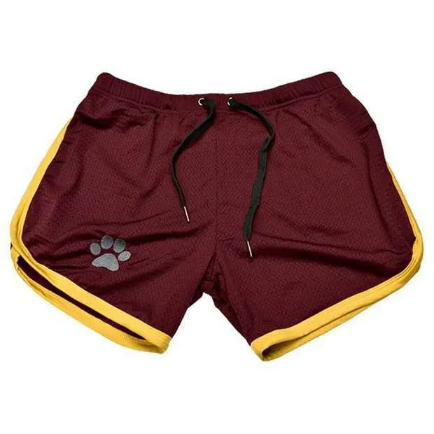 Bear Gym Shorts