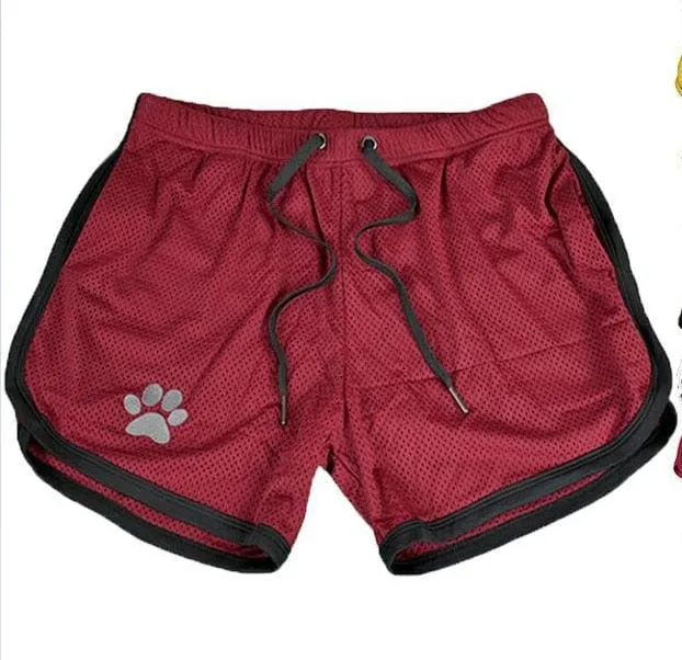 Bear Gym Shorts