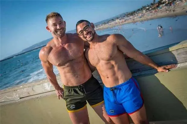Bear Gym Shorts