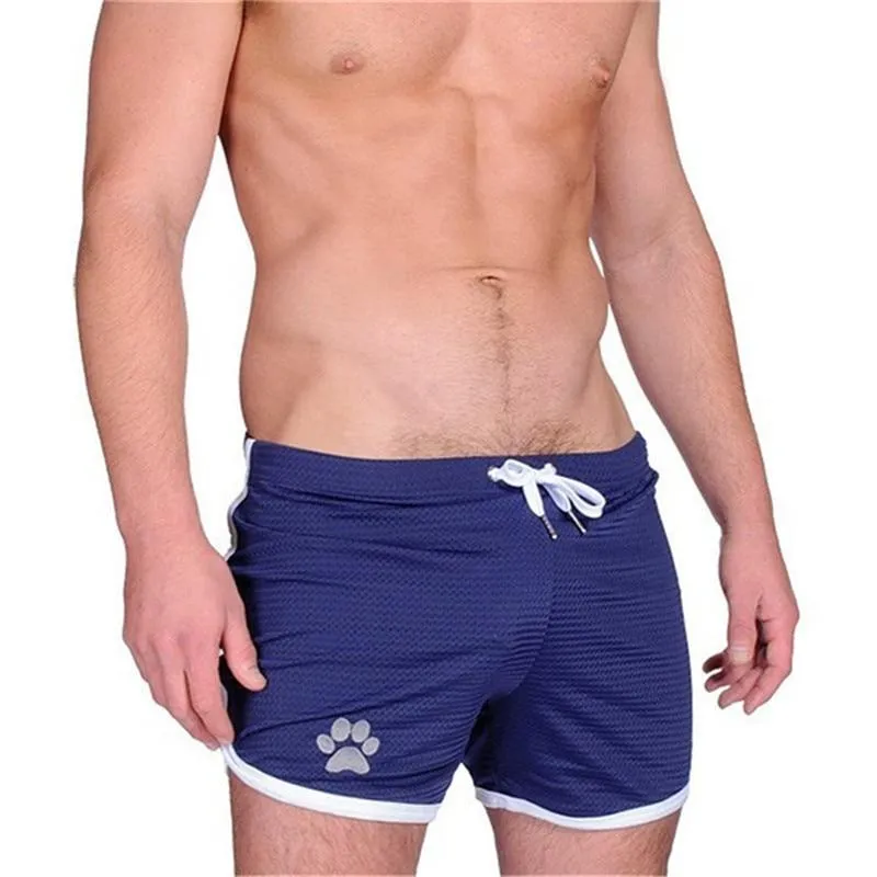 Bear Gym Shorts