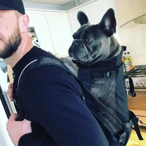 Dog Backpack