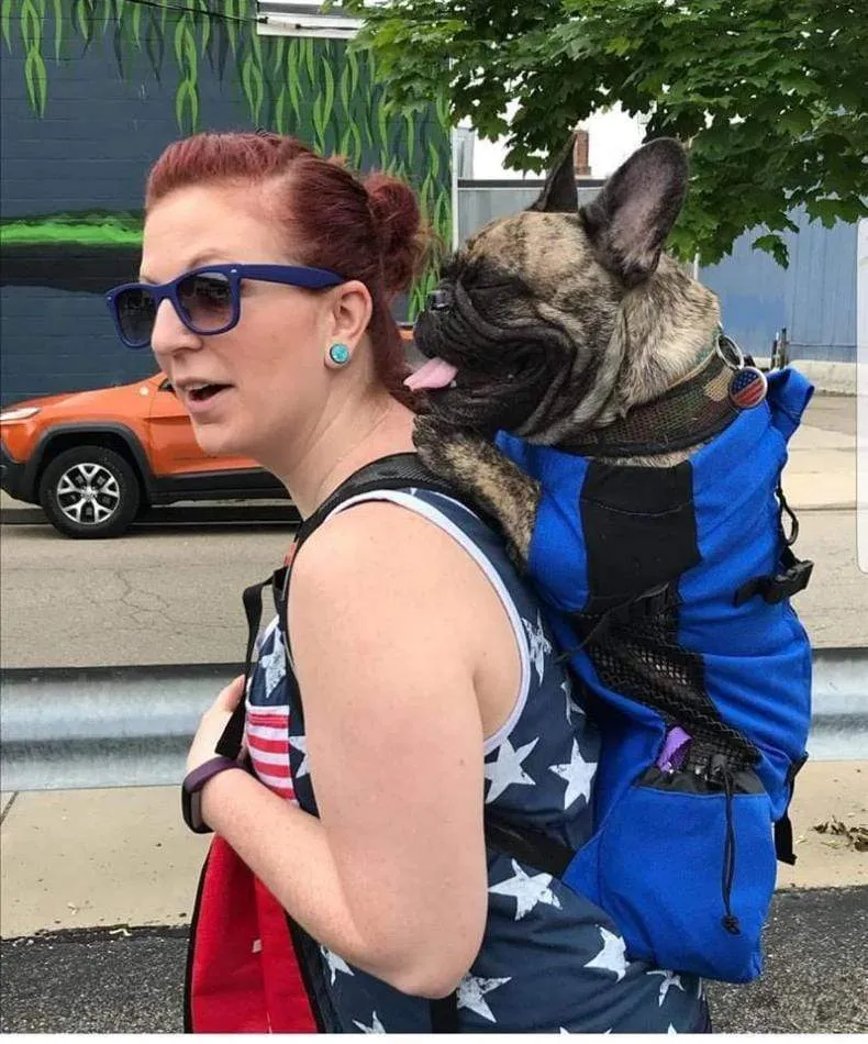 Dog Backpack