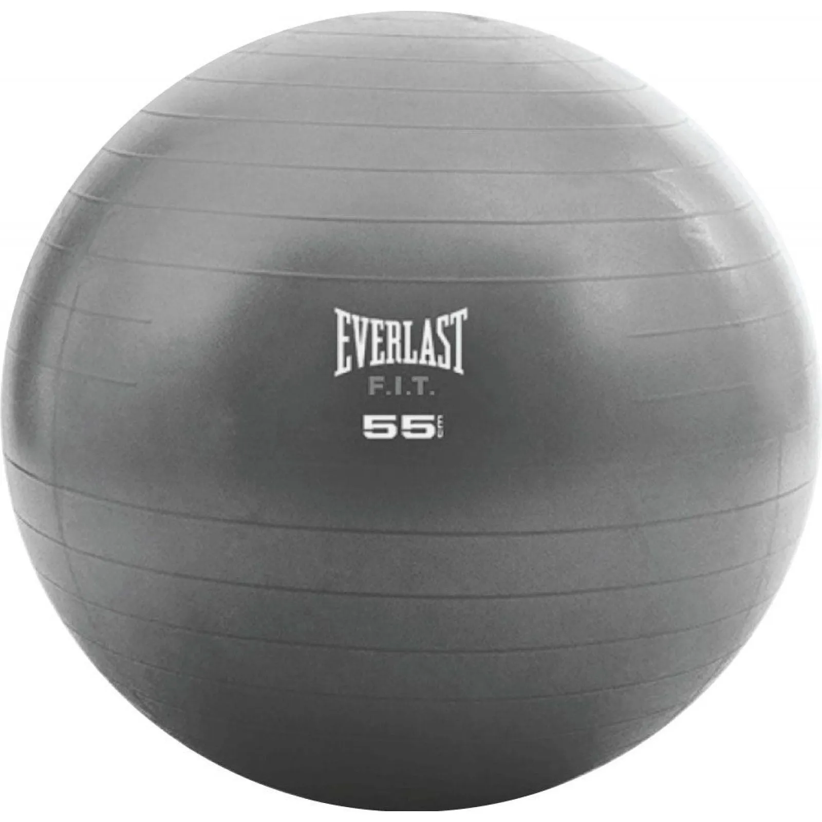 Everlast Core Strength Ball