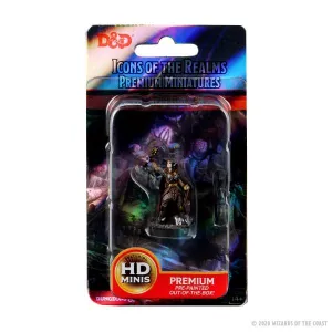 Female Elf Cleric: D&D Icons of the Realms Premium Figures (W3)