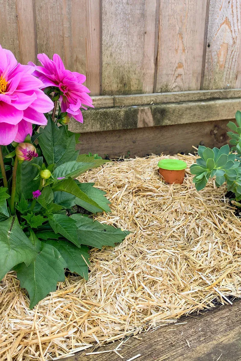 Garden Straw - Temperature Regulating