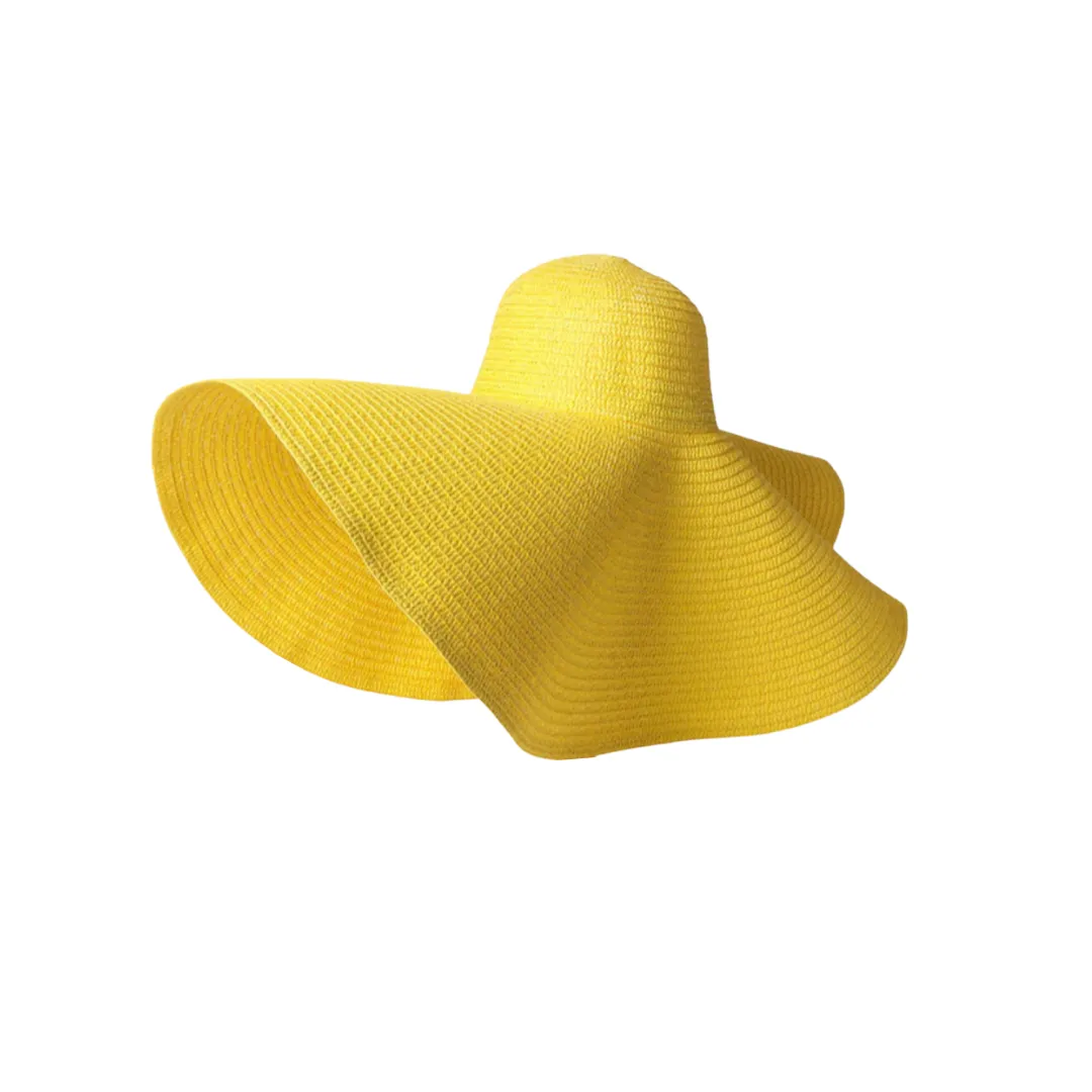 Giant Brim Woven Beach Hat