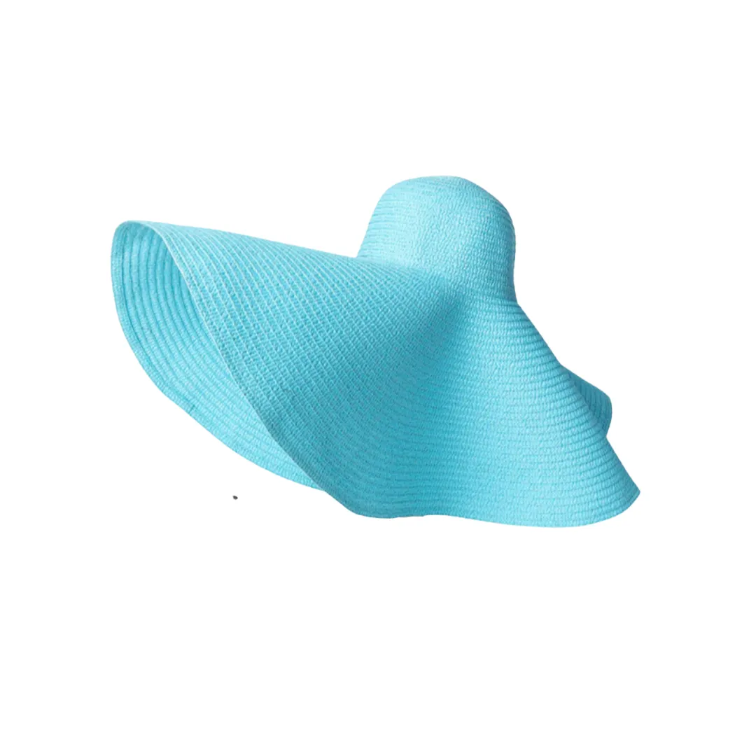 Giant Brim Woven Beach Hat