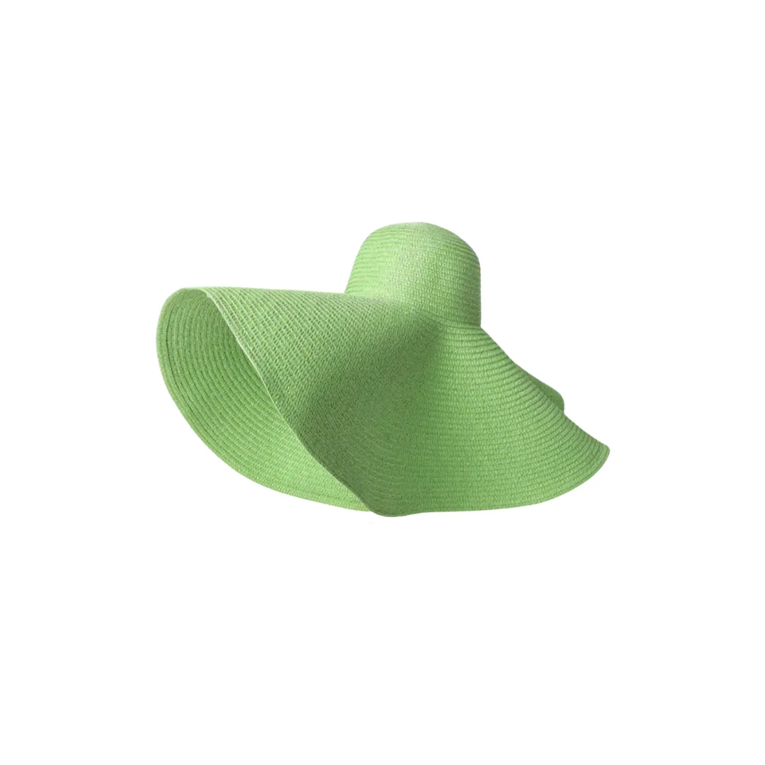 Giant Brim Woven Beach Hat