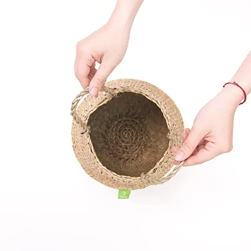 Greenjoy Natural Woven Grass Belly Basket for Storage - Set of 2 - Hand Woven Belly Basket with Handles - Ideal Plant Pot, Laundry & Picnic Basket for Home or Outdoor Use (M L, 2)