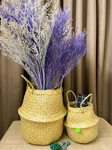 Greenjoy Natural Woven Grass Belly Basket for Storage - Set of 2 - Hand Woven Belly Basket with Handles - Ideal Plant Pot, Laundry & Picnic Basket for Home or Outdoor Use (M L, 2)