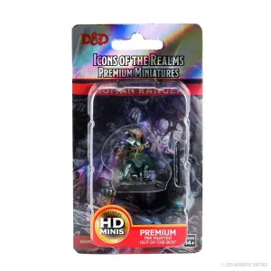 Human Ranger Male: D&D Icons of the Realms Premium Figures (W4)