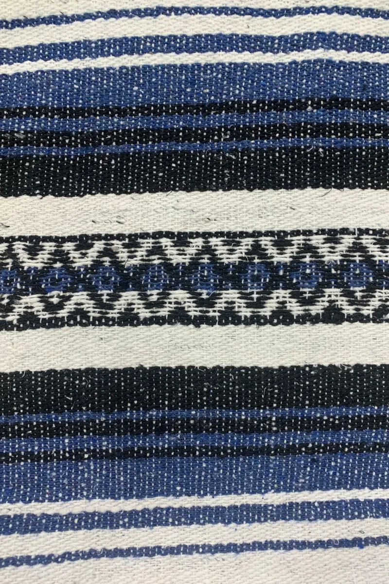 Iguana Blanket
