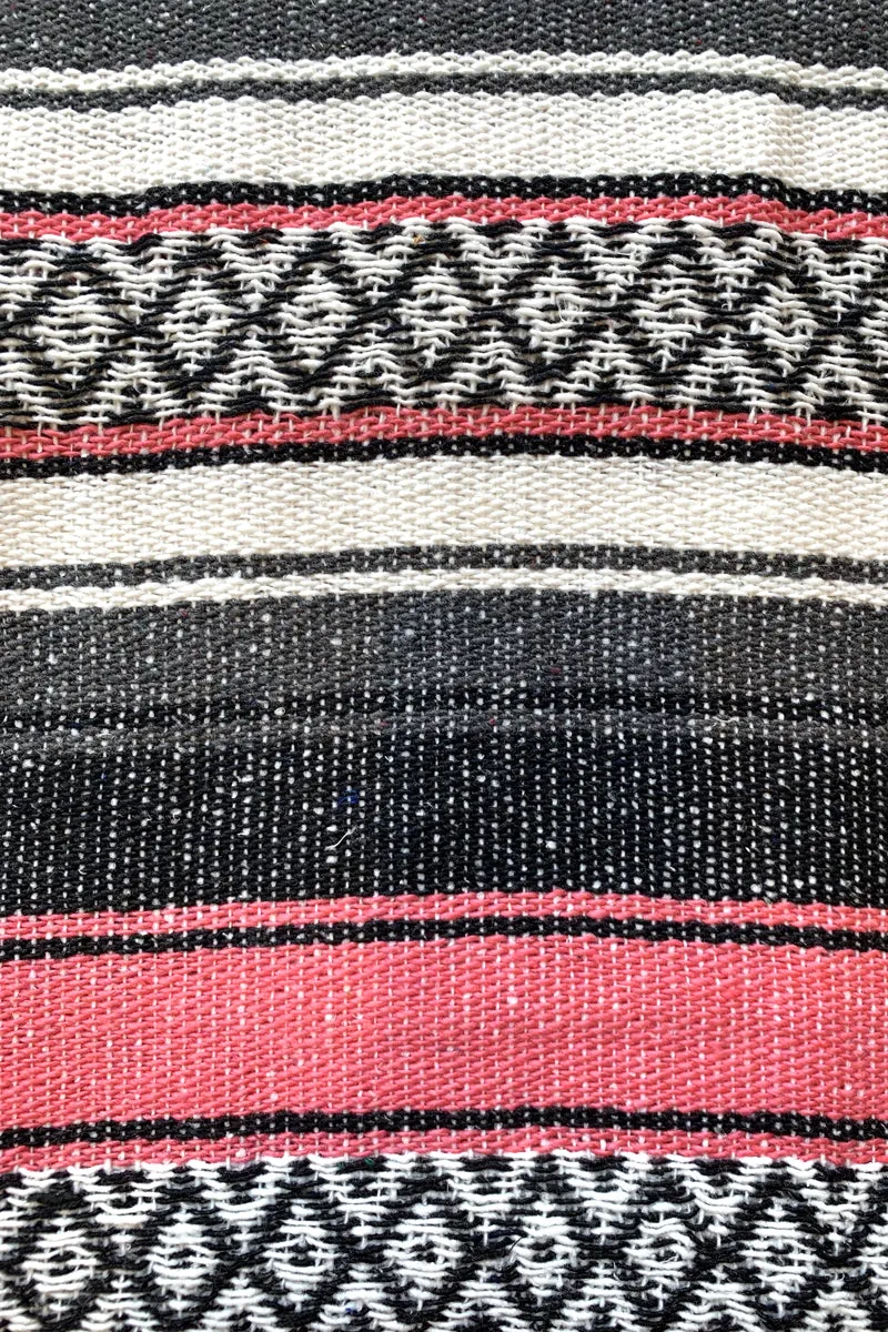 Iguana Blanket