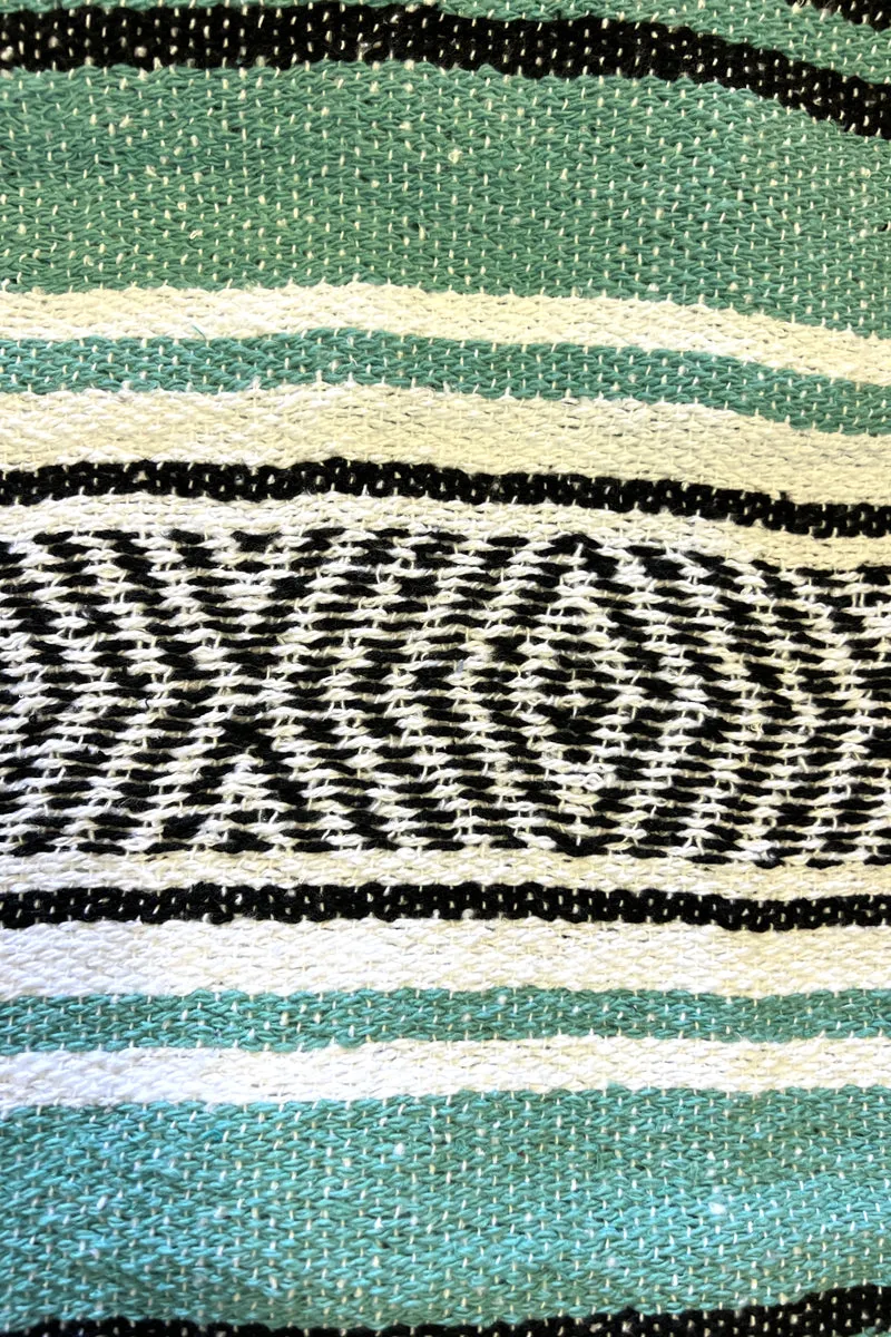 Iguana Blanket