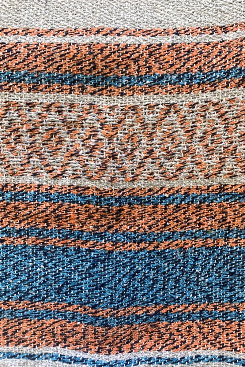 Iguana Blanket