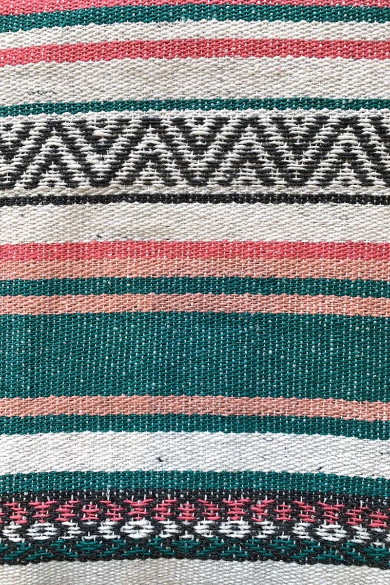 Iguana Blanket