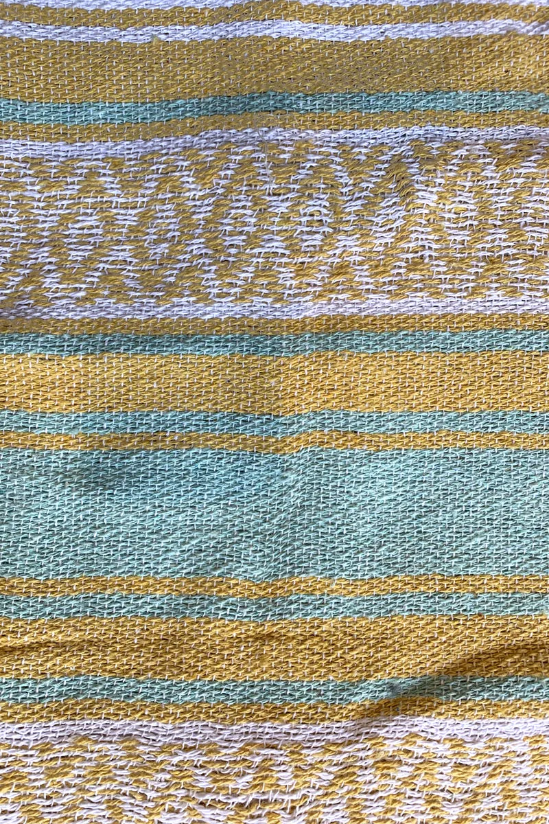 Iguana Blanket
