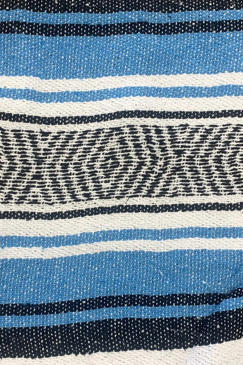 Iguana Blanket