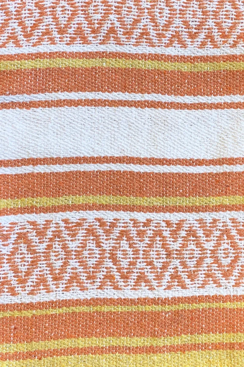 Iguana Blanket