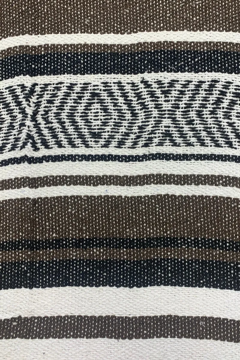 Iguana Blanket