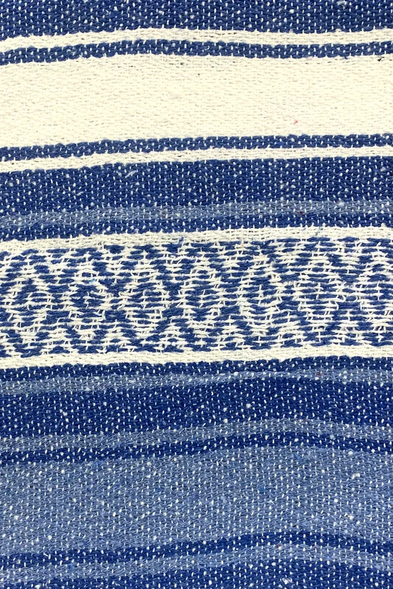 Iguana Blanket