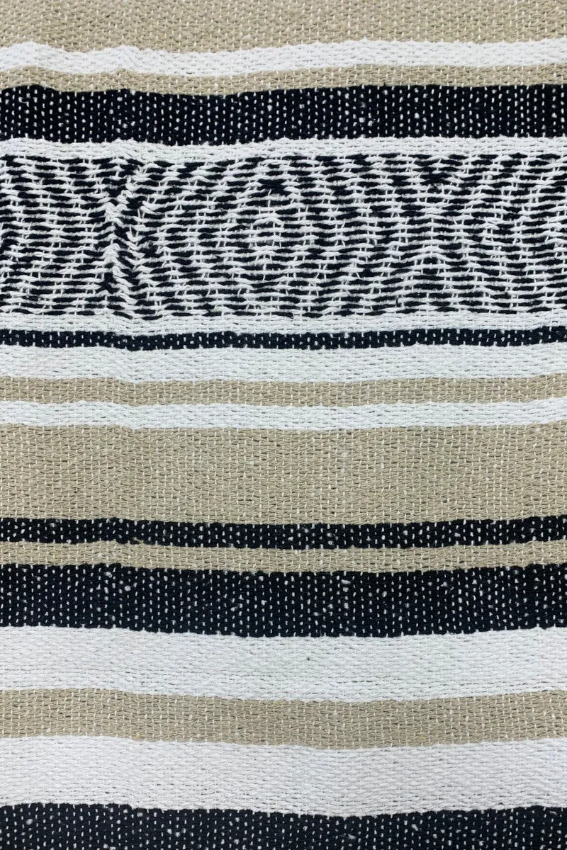 Iguana Blanket