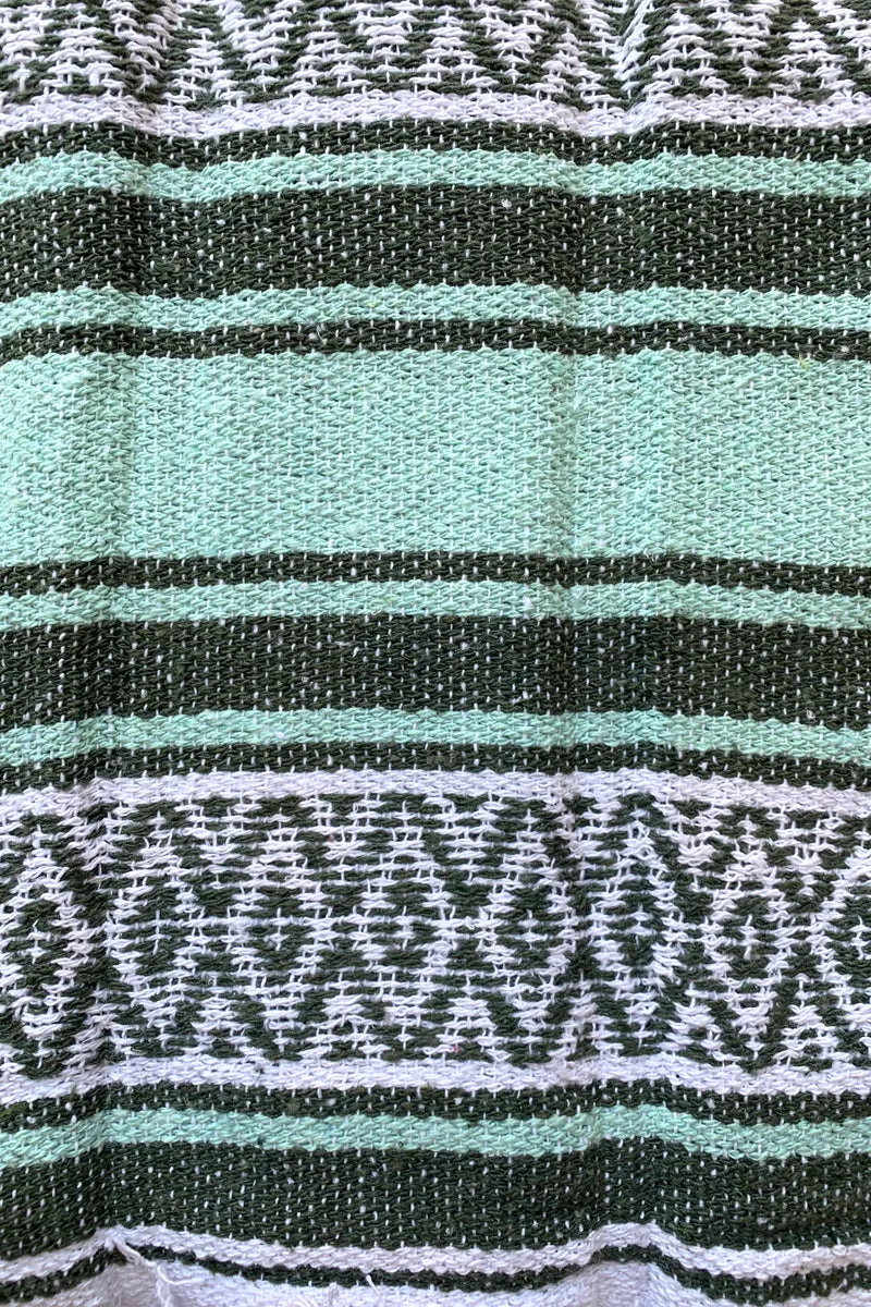 Iguana Blanket
