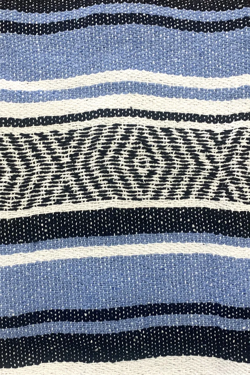 Iguana Blanket