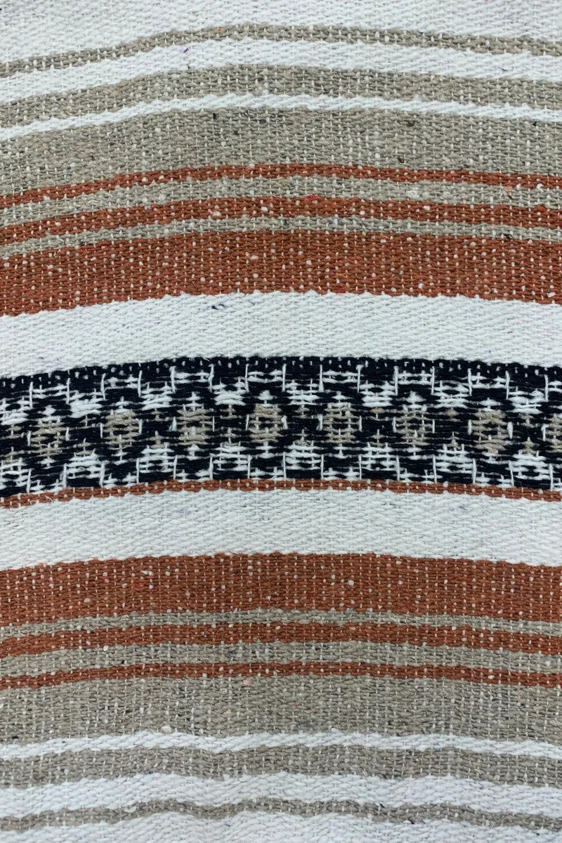 Iguana Blanket