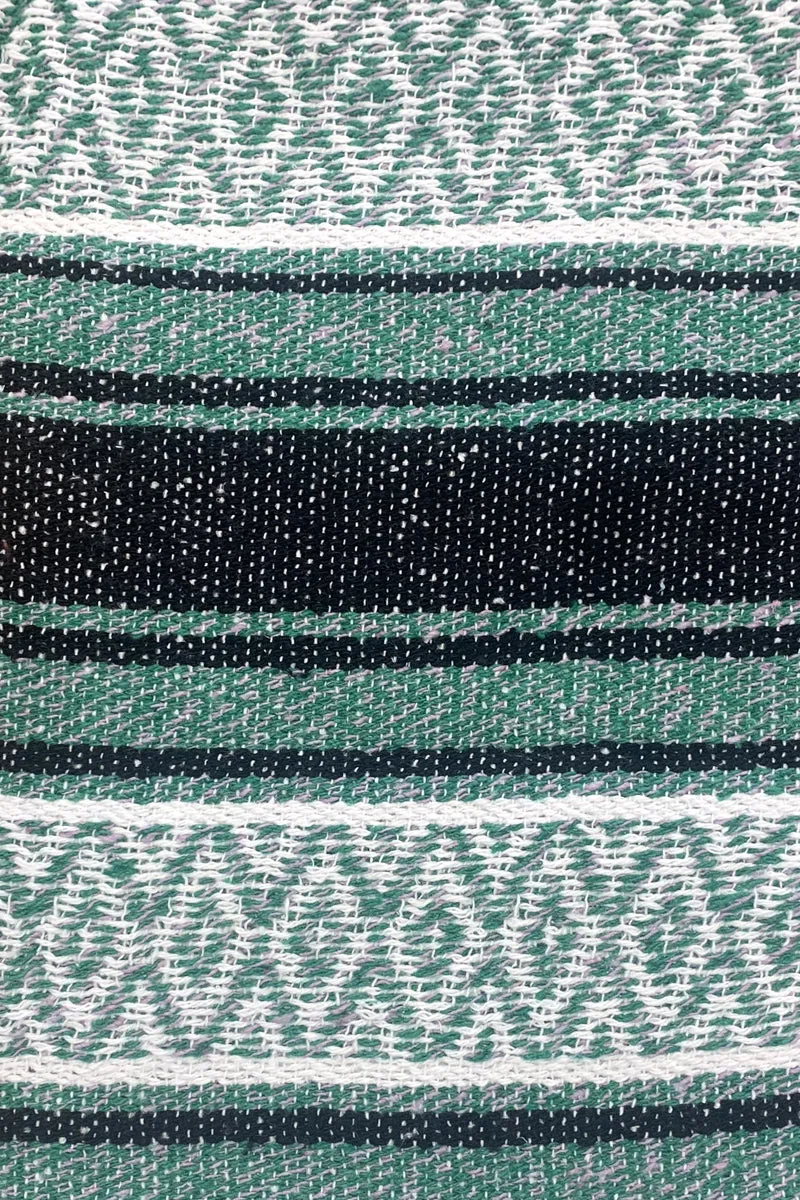 Iguana Blanket