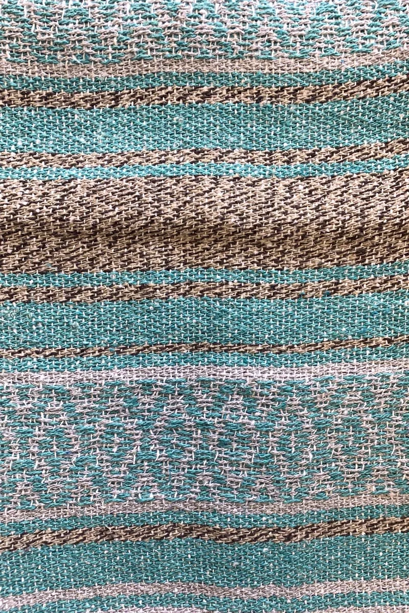 Iguana Blanket