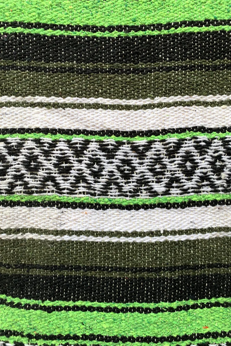 Iguana Blanket