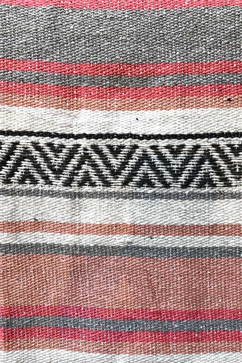 Iguana Blanket