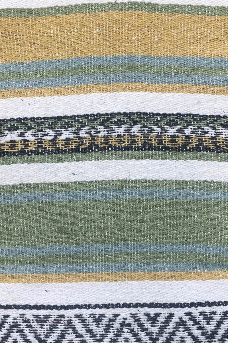 Iguana Blanket
