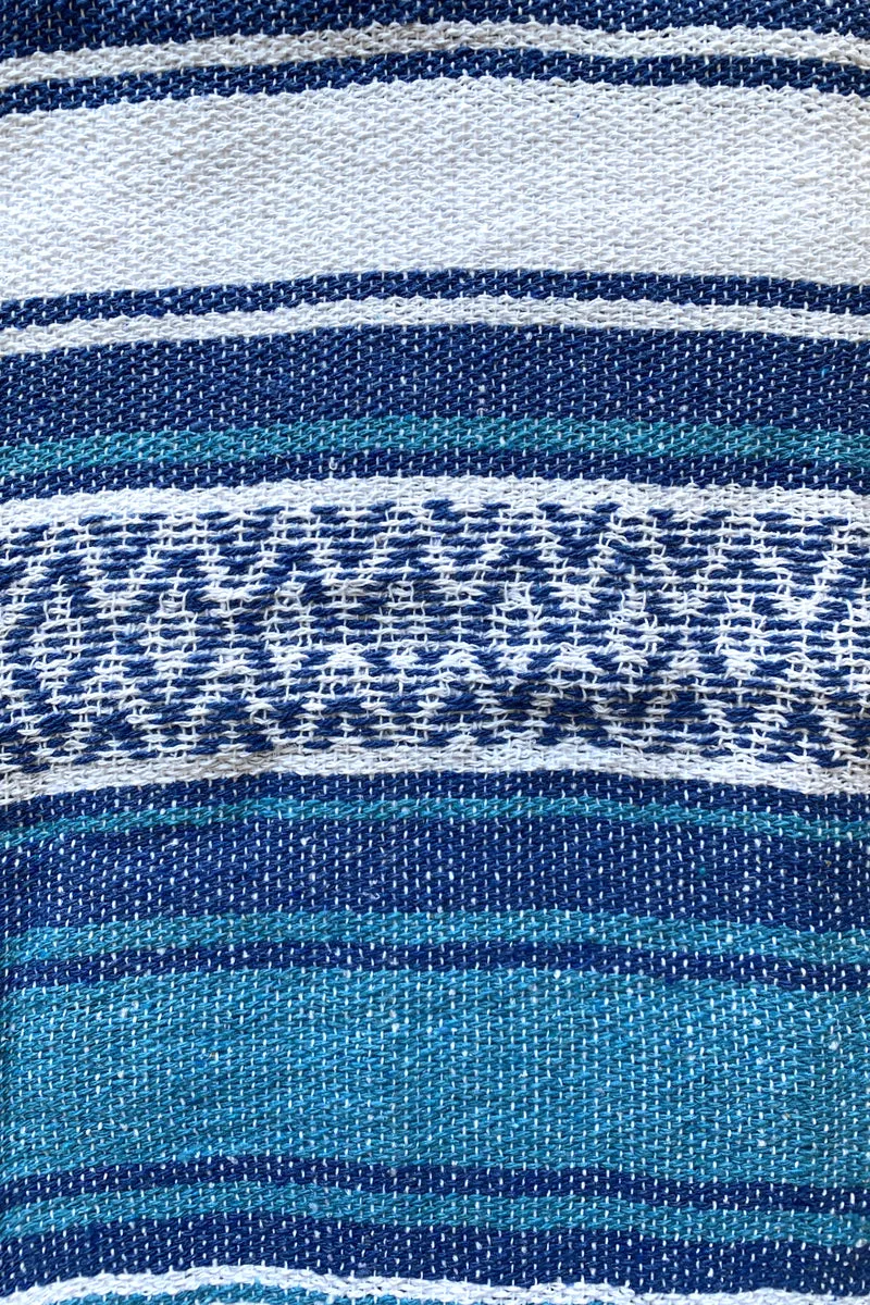 Iguana Blanket