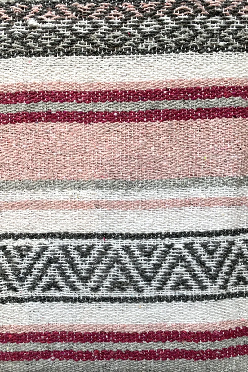 Iguana Blanket