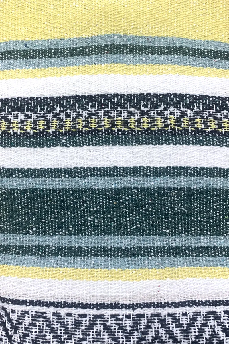 Iguana Blanket
