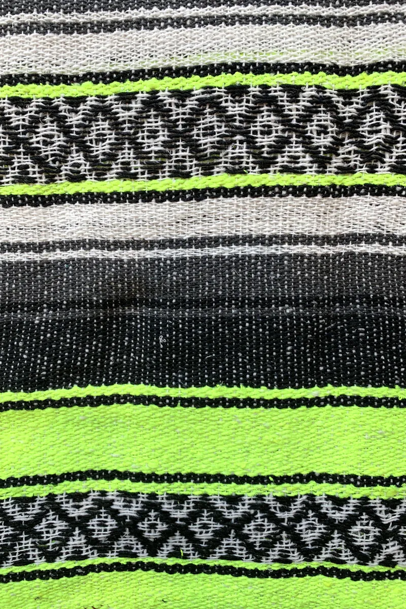 Iguana Blanket