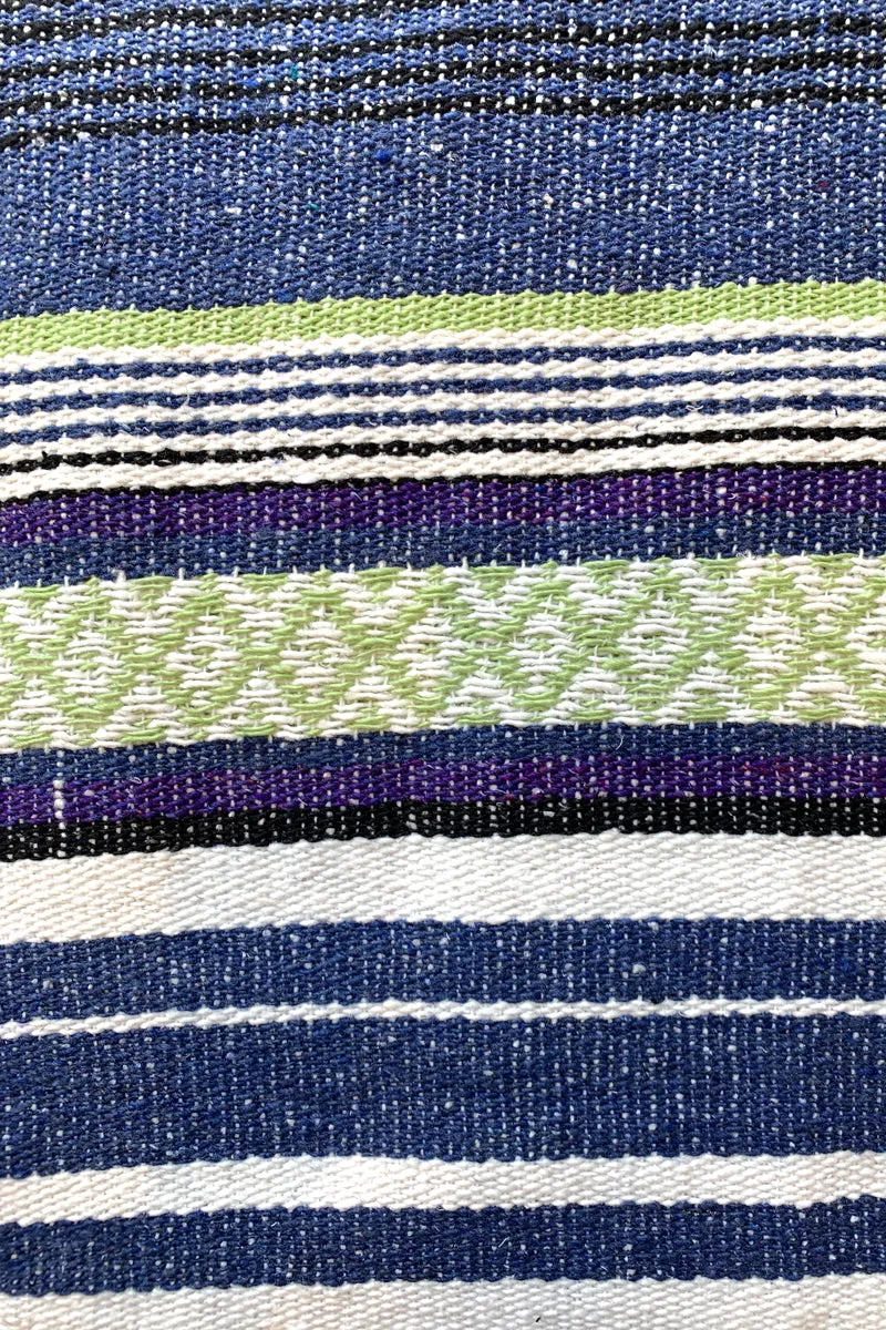 Iguana Blanket