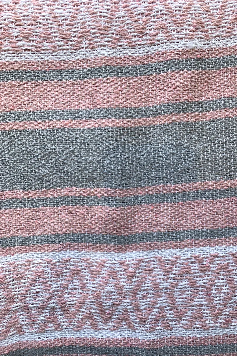 Iguana Blanket