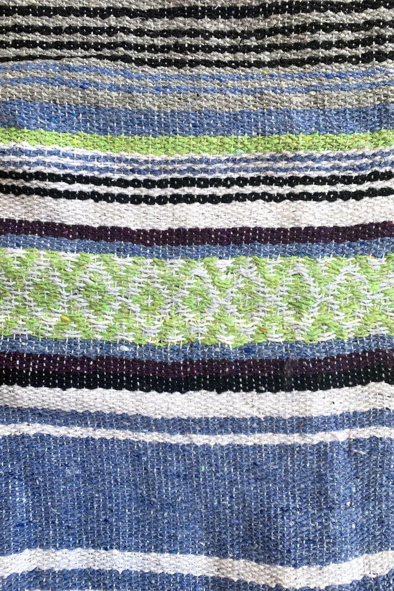 Iguana Blanket