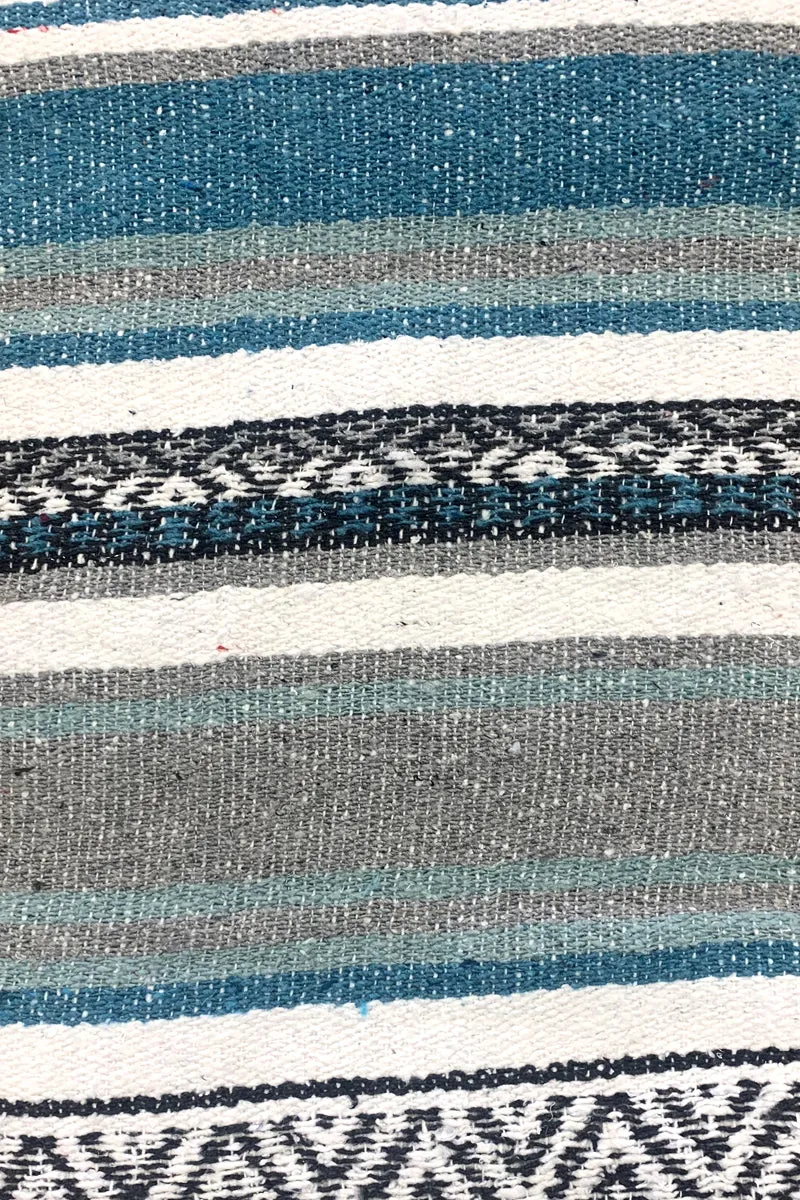 Iguana Blanket