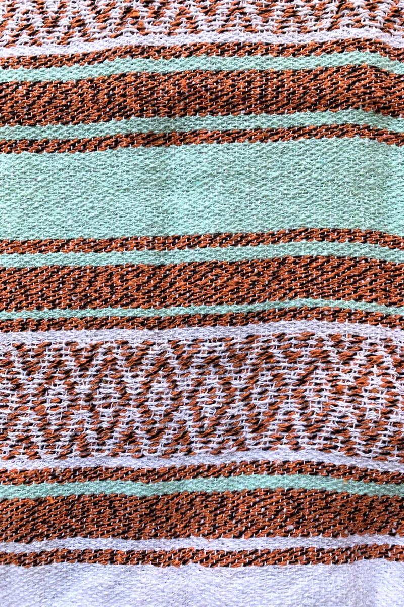 Iguana Blanket