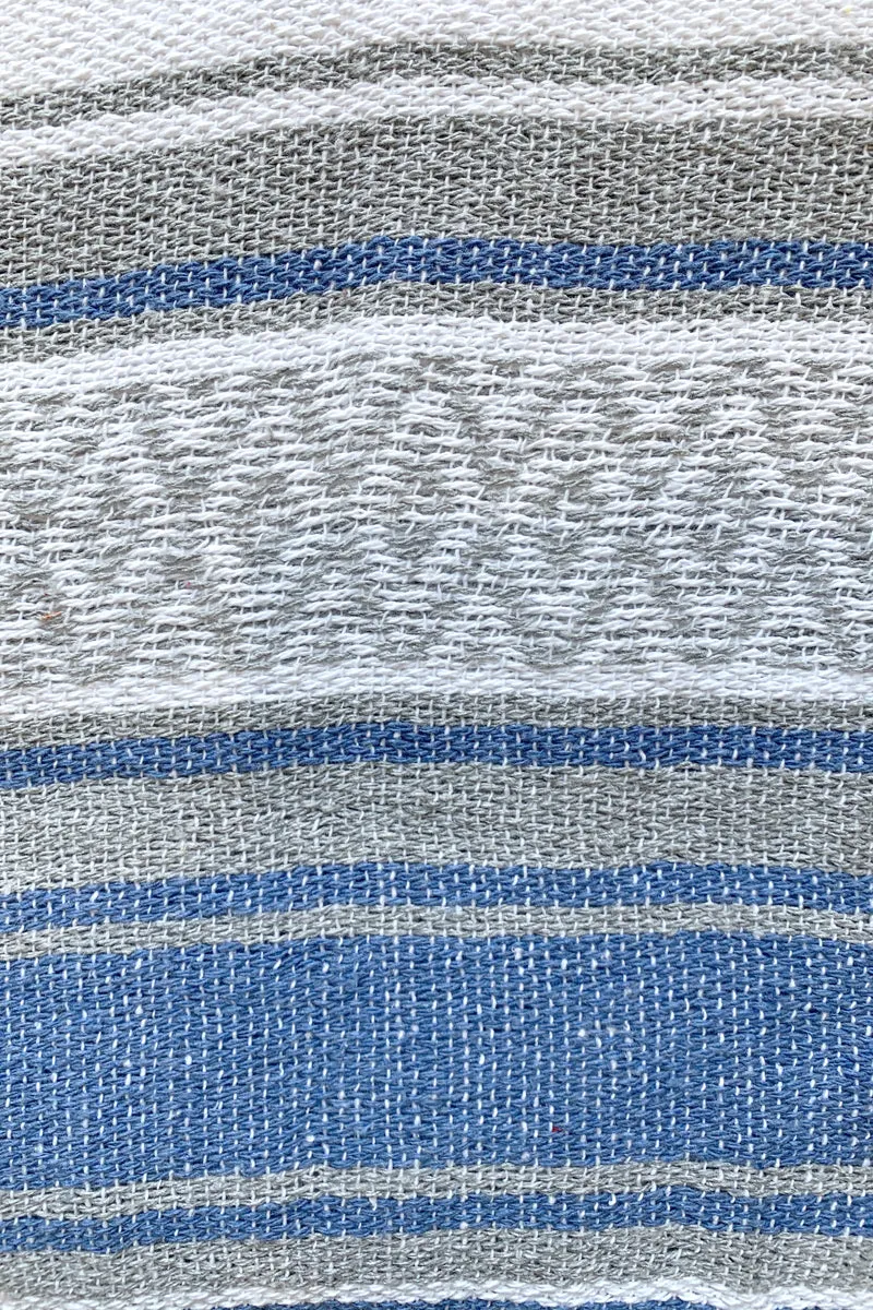 Iguana Blanket