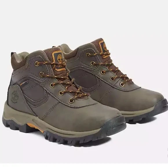 Junior Mt. Maddsen Waterproof Mid Hiking Boot