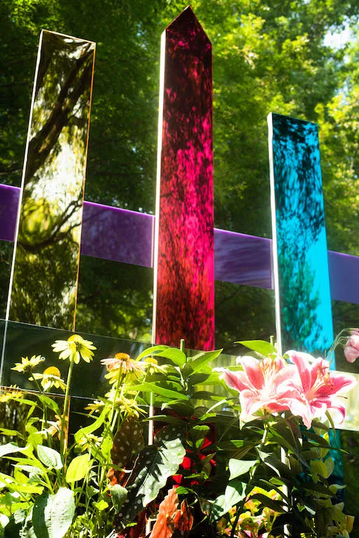 Kelsey Bennett, "Morning Glory"