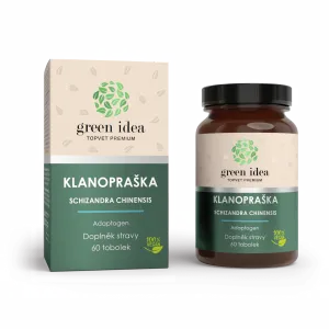 KÍNAI KÚSZÓMAGNÓLIA PREMIUM