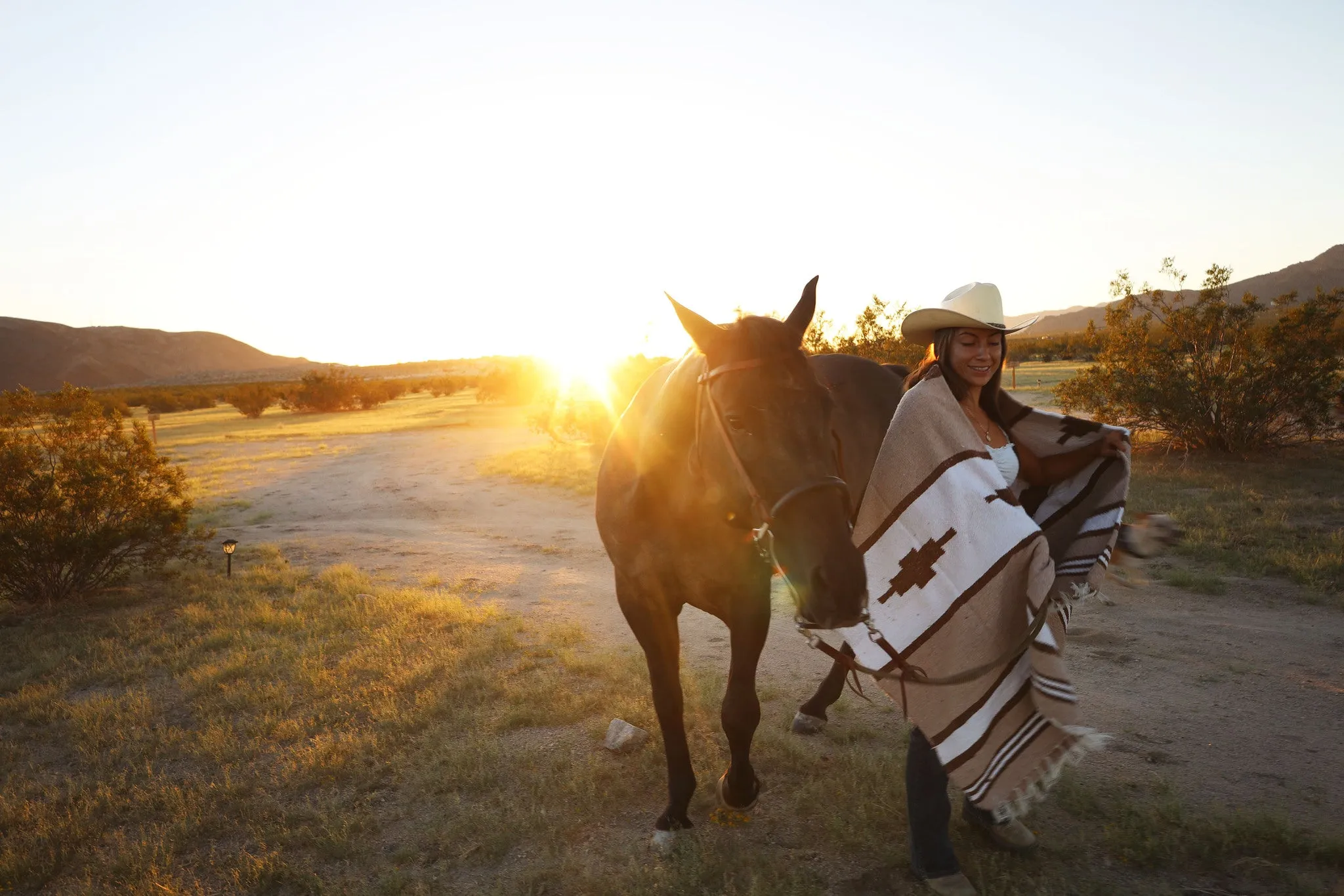 Las Cruces (Honey)  // Handwoven Blanket