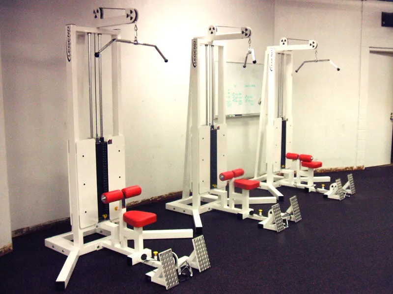 LEGEND FITNESS PRO SERIES SEATED LAT / FLOOR ROW - 3228